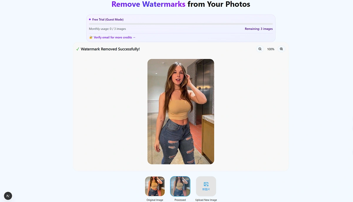 Preview watermark removal effect and download interface